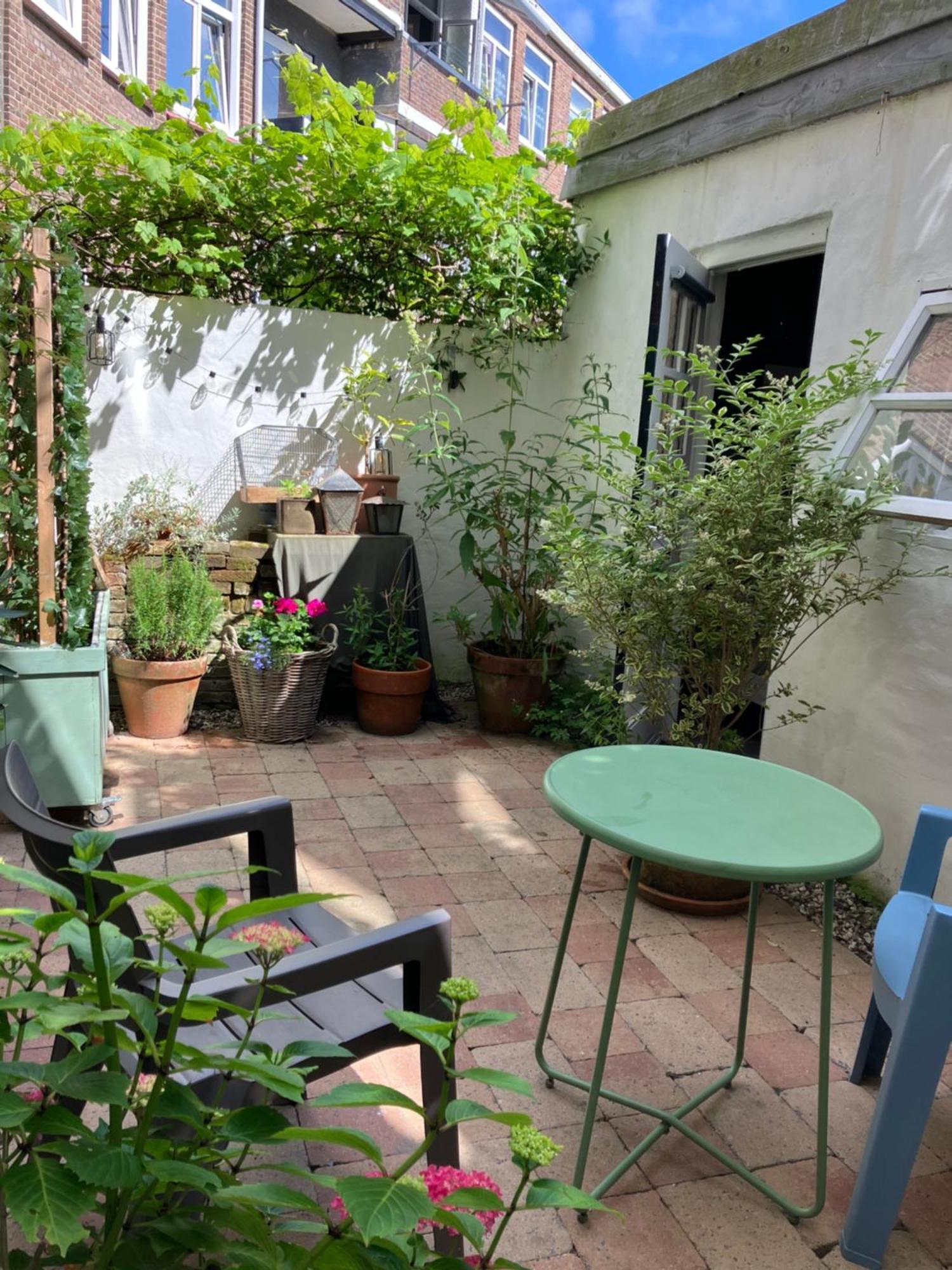 Antonia Beach House Χάγη Εξωτερικό φωτογραφία