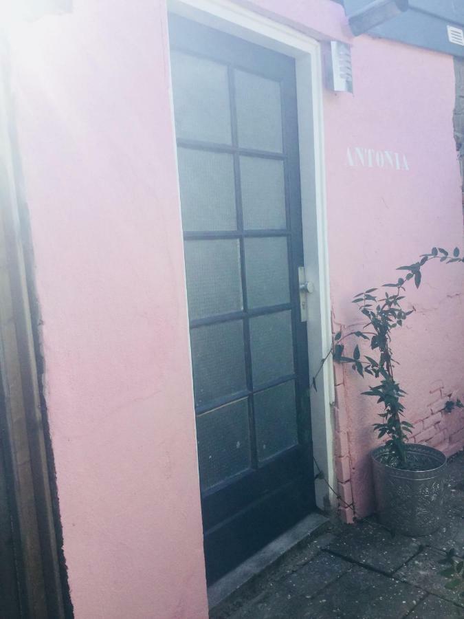 Antonia Beach House Χάγη Εξωτερικό φωτογραφία
